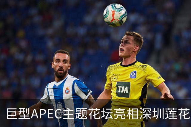 巨型APEC主题花坛亮相深圳莲花山公园