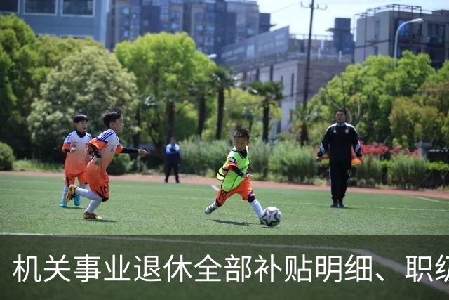 机关事业退休全部补贴明细、职级、年龄、标准一次性讲清楚