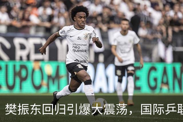 樊振东回归引爆大震荡，国际乒联正式回应举报信
